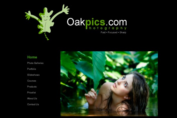 Site using Contact Form by BestWebSoft plugin