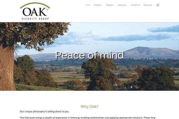 Divi Child theme site design template sample