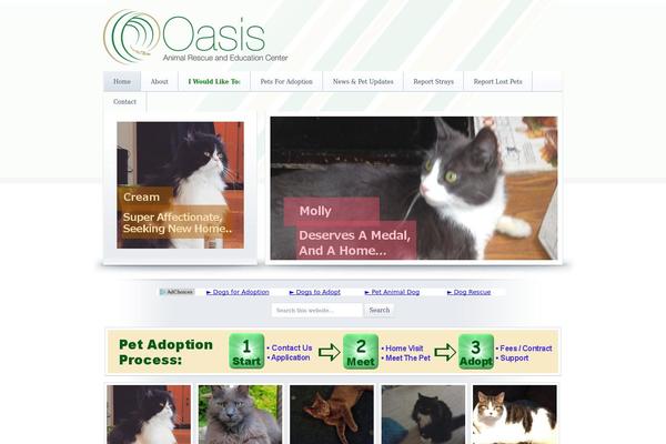 Site using Dooodl plugin