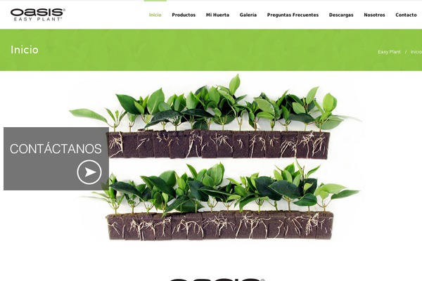 Site using Envato-wordpress-toolkit plugin