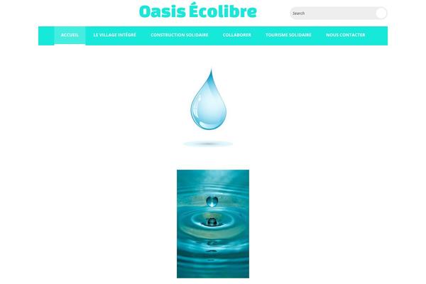 Magellan theme site design template sample