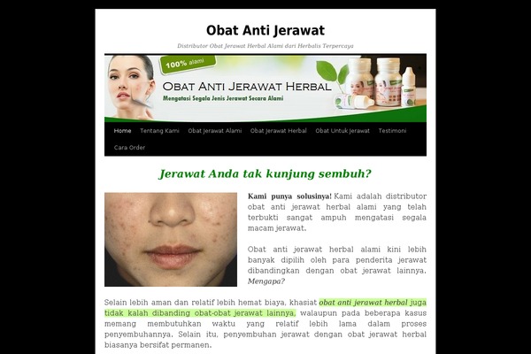 Landingblog theme site design template sample