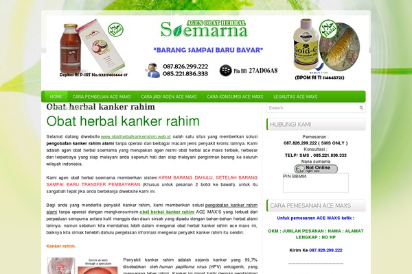 Healthstyle theme site design template sample