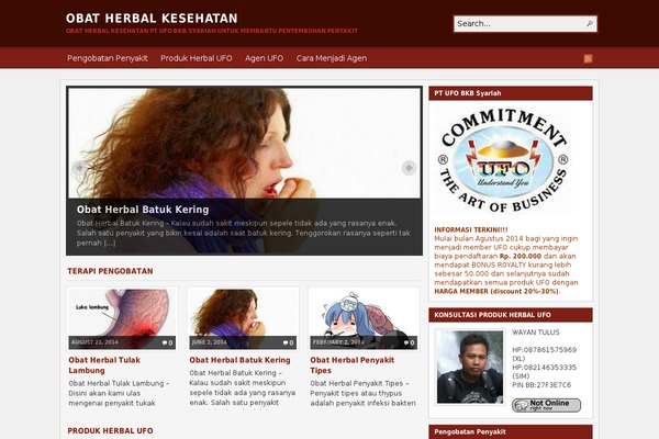 Arras WP theme theme site design template sample