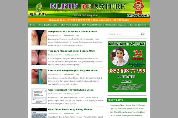robbys WordPress theme, websites list used robbys theme robbys theme websites examples