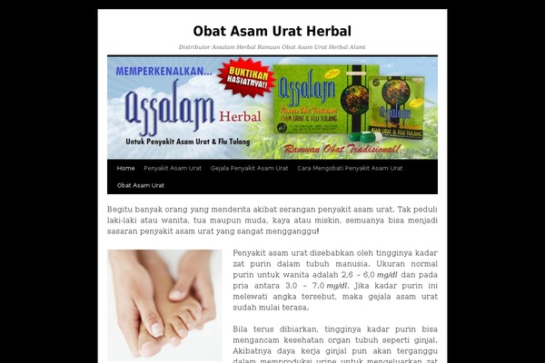 Landingblog theme site design template sample