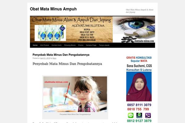 Twenty Ten theme site design template sample