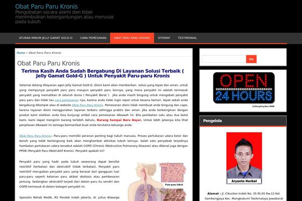 Magazine Style theme site design template sample