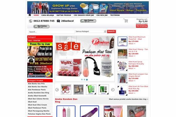 Wptokoonline theme site design template sample
