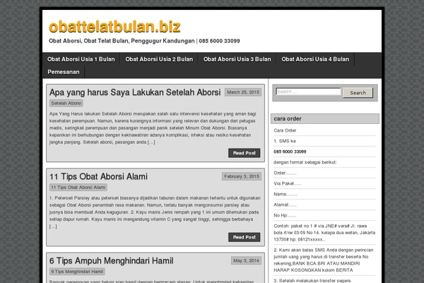 Asteroid theme site design template sample