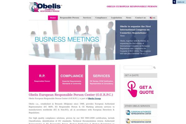 Promotion theme site design template sample