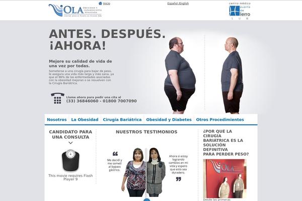obesiola.com site used Starttheme