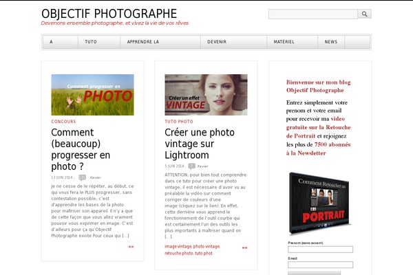 The Blog theme site design template sample
