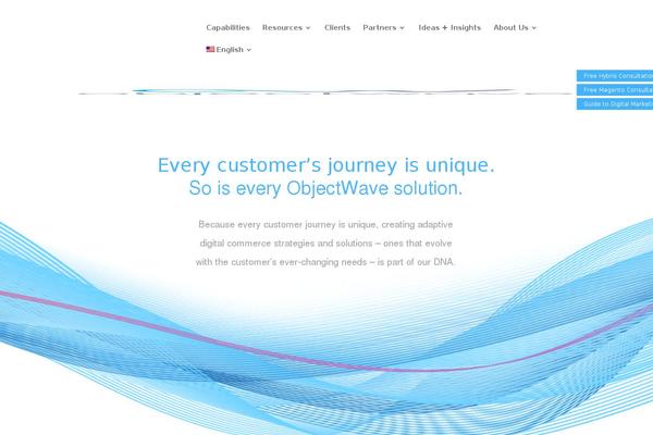 Site using Magic-tooltips-for-gravity-forms plugin