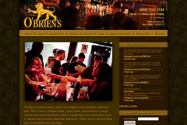 Site using Jamie Social Icons plugin