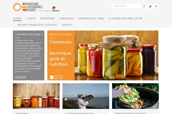 quickly-child WordPress theme, websites list used quickly-child theme quickly-child theme websites examples