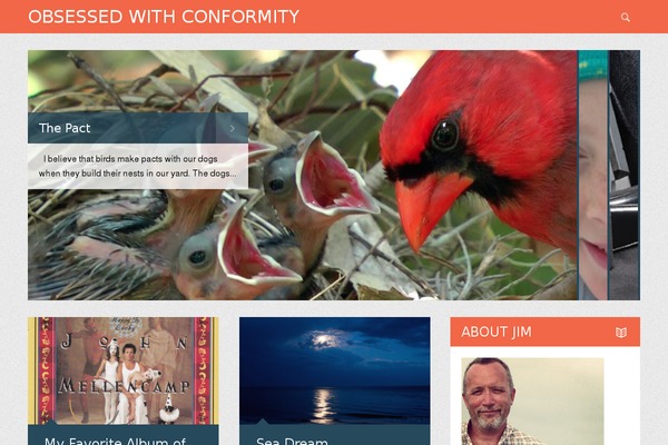 Safarica theme site design template sample