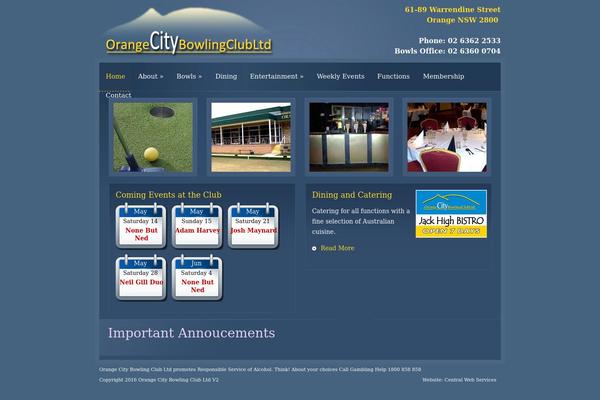 Cion theme site design template sample