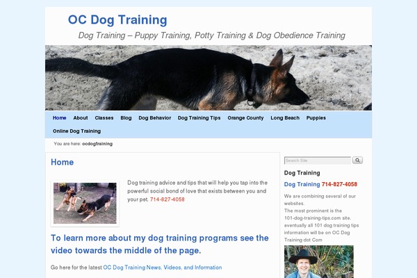 KadenceWP theme site design template sample