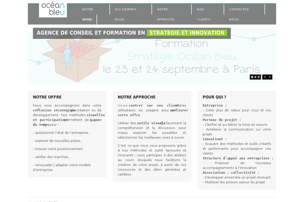 Surplus theme site design template sample