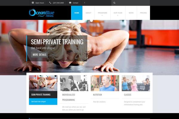 Fit Wp theme site design template sample