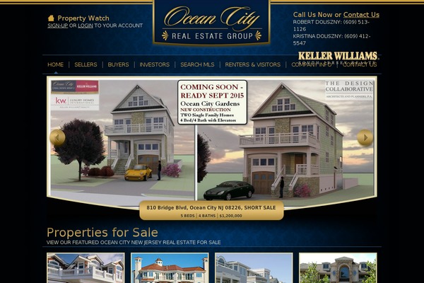 RealEstate theme site design template sample