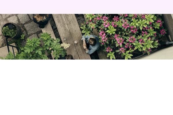Site using Organic-profile-block plugin
