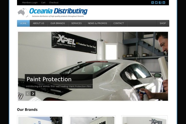 Function theme site design template sample