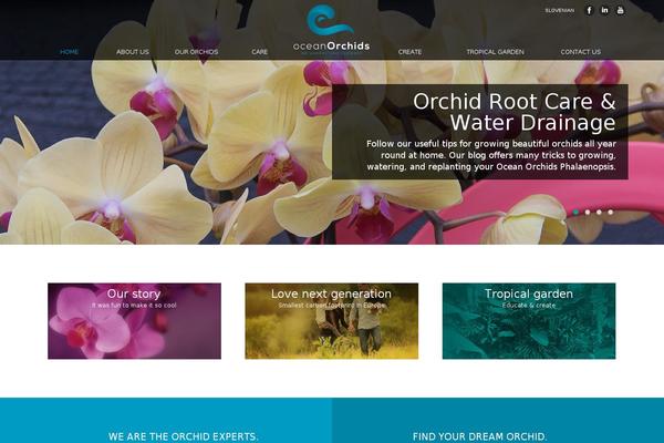 Site using Owl Carousel plugin