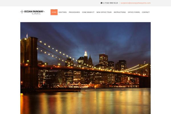 SoulMedic theme site design template sample