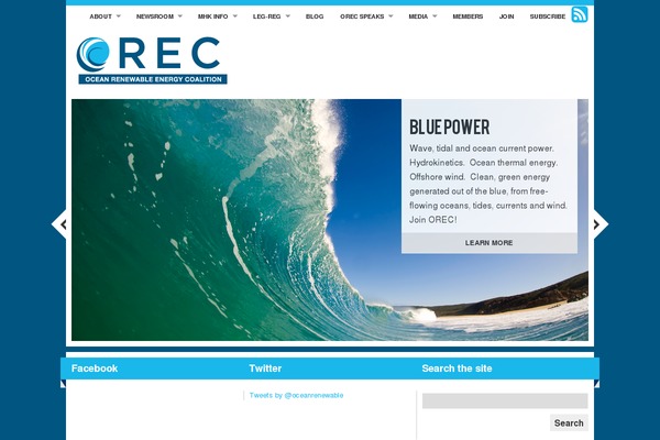 Organic_bold_blue theme site design template sample