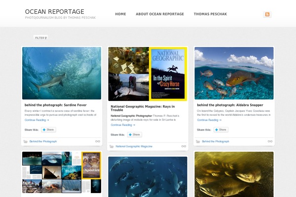 Shaken Grid Premium theme site design template sample