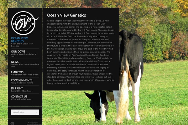 Flashlight theme site design template sample