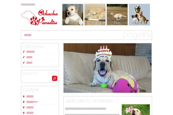 Site using Amazing-post-widget plugin