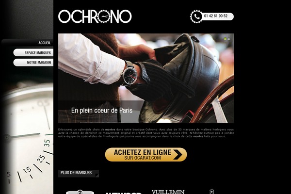 ochrono.com site used Ochrono