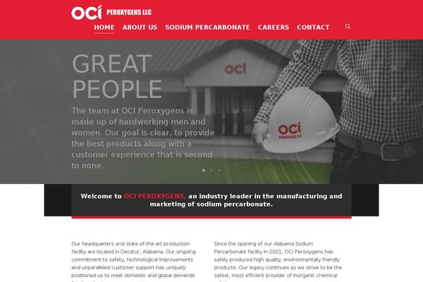 Salient theme site design template sample