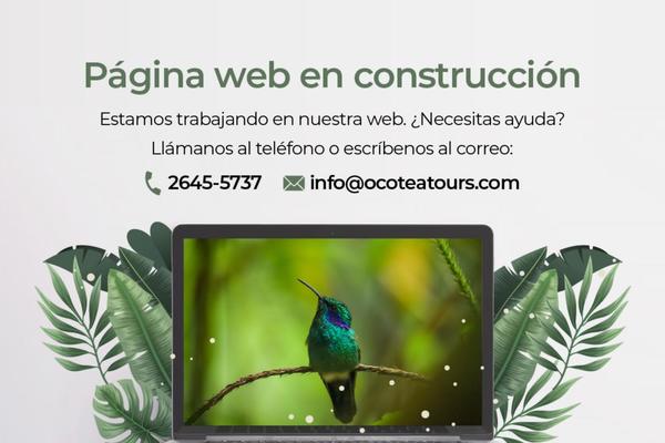 Traveler theme site design template sample