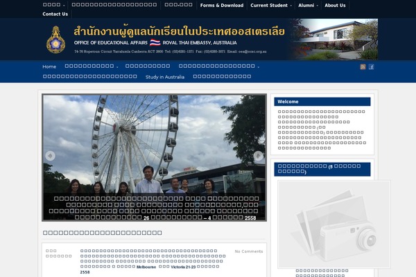Arras WP theme theme site design template sample