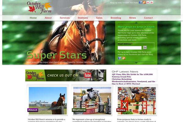 Site using Jamie Social Icons plugin