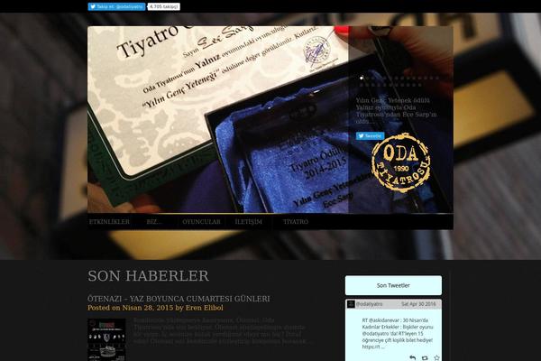 Theme1630 theme site design template sample