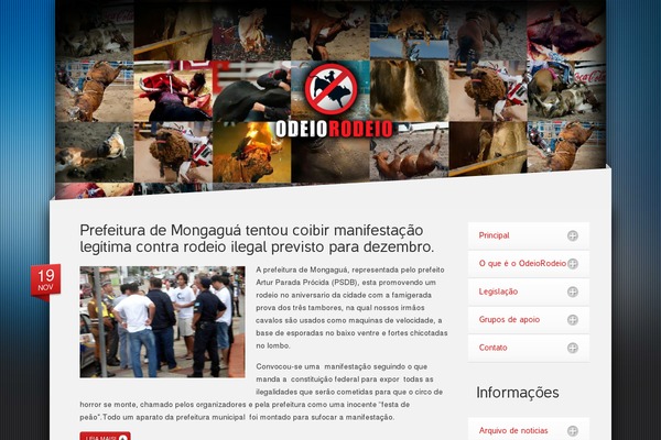 Site using WORDPRESS VIDEO GALLERY plugin