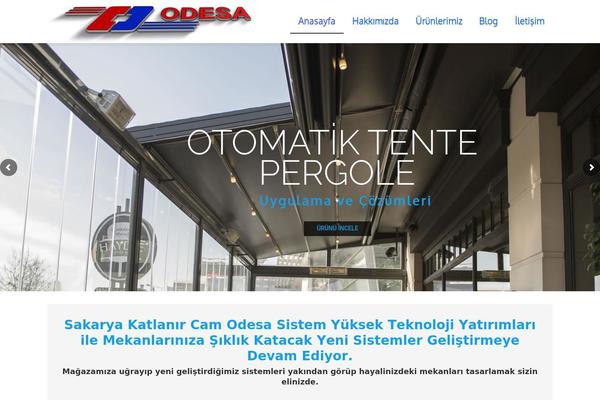 Envision theme site design template sample