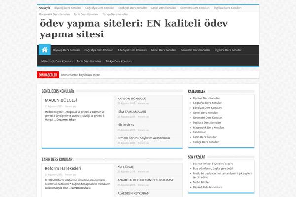 Sahifa theme site design template sample