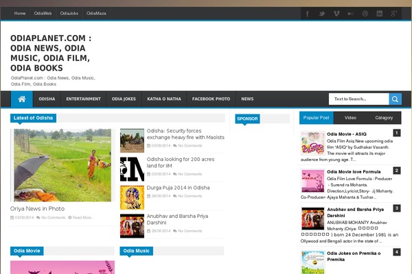 Reportage theme site design template sample