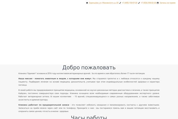 Site using Wp-yandex-metrika plugin