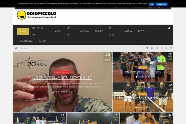 Site using Youtube-video-player-pro plugin