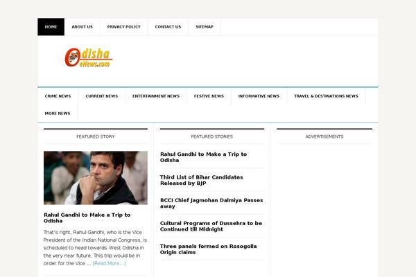News Pro theme site design template sample