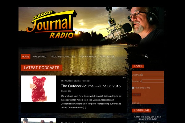 Afternight theme site design template sample