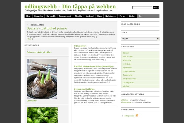 Mimbo theme site design template sample