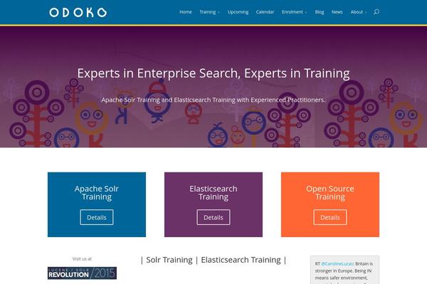 Divi theme site design template sample